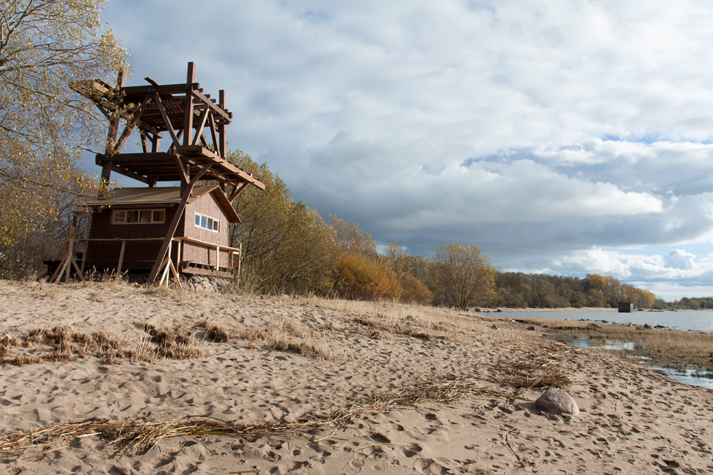 Удивительное побережье: Финский залив как источник вдохновения для творцов и урбанистов Петербурга